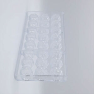 Chocolate mold anemone - Image 2