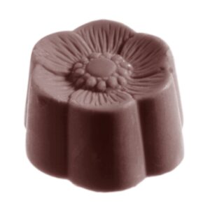 Chocolate mold anemone - Image 1