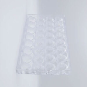 Chocolate mold strawberry (MTO) - Image 2